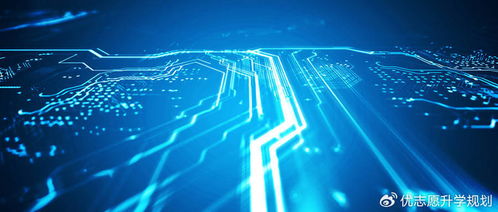 计算机软件开发 专业方向选择与志愿填报全攻略